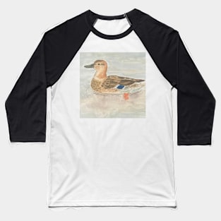 Mallard duck female Baseball T-Shirt